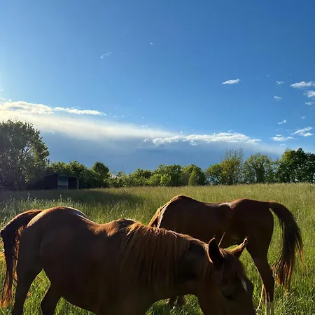 Kemping Domaine De La Faurie *