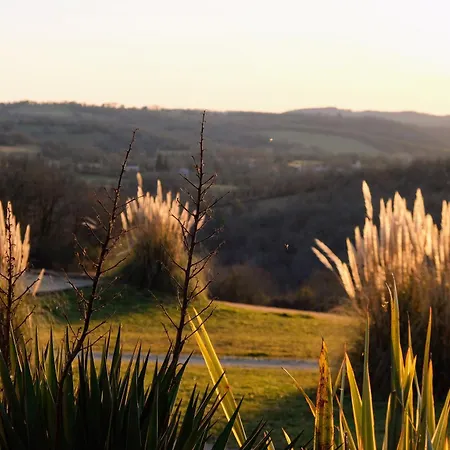Kemp Domaine De La Faurie Séniergues