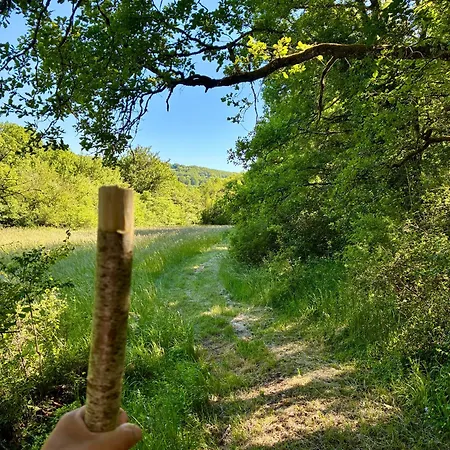 مكان تخييم Domaine De La Faurie Séniergues
