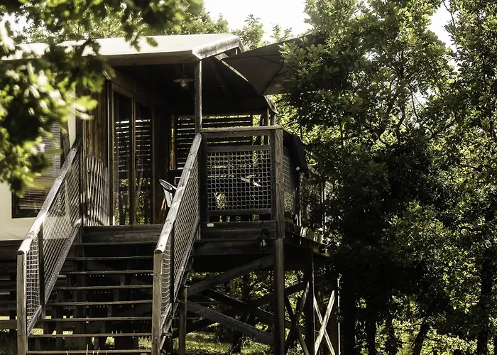 Domaine De La Faurie * Séniergues