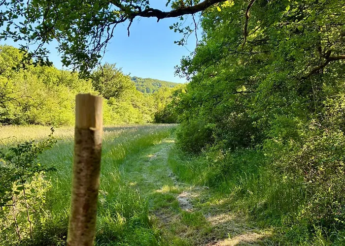 مكان تخييم Domaine De La Faurie Séniergues