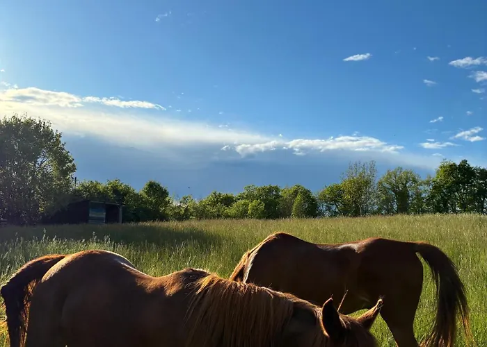 مكان تخييم Domaine De La Faurie *