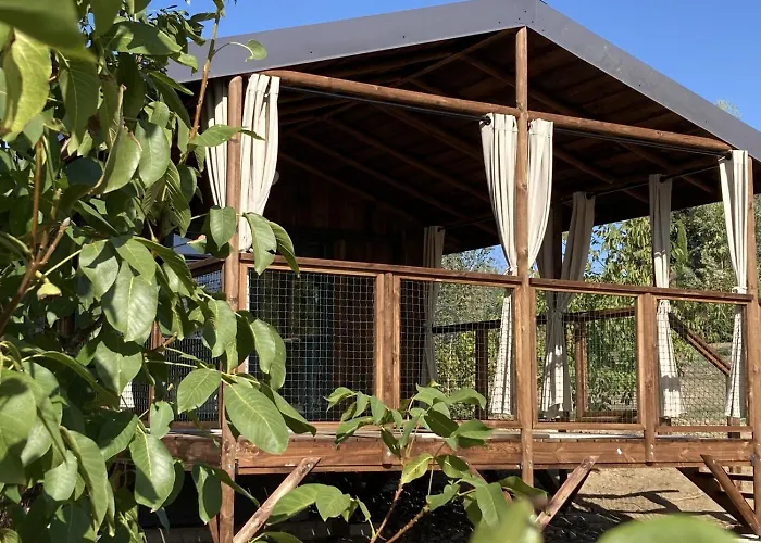 Domaine De La Faurie Kamp alanı *