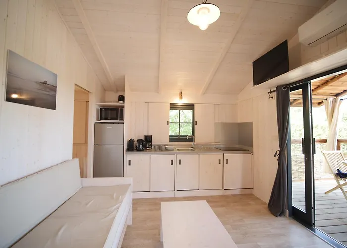 Domaine De La Faurie Kamp alanı Séniergues